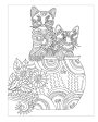 The Kittens Colouring Book Cosy Up With These Adorable Furry Felines on Sale