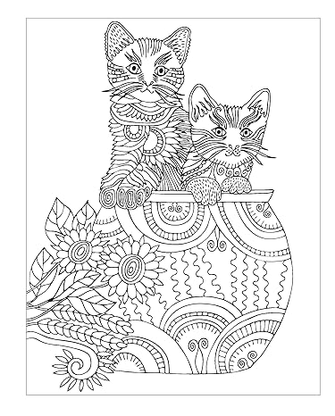 The Kittens Colouring Book Cosy Up With These Adorable Furry Felines on Sale