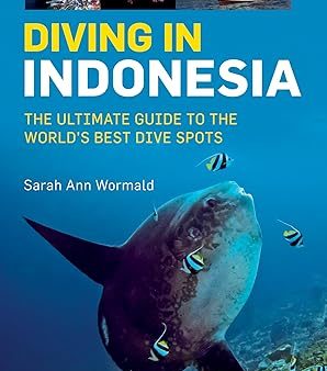 CT Diving in Indonesia Supply