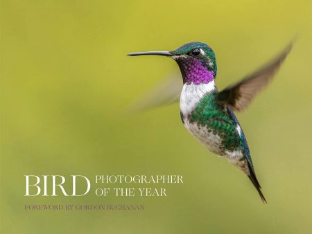 Bird Photographer of the Year (Collection 8) on Sale