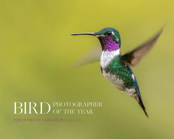 Bird Photographer of the Year (Collection 8) on Sale